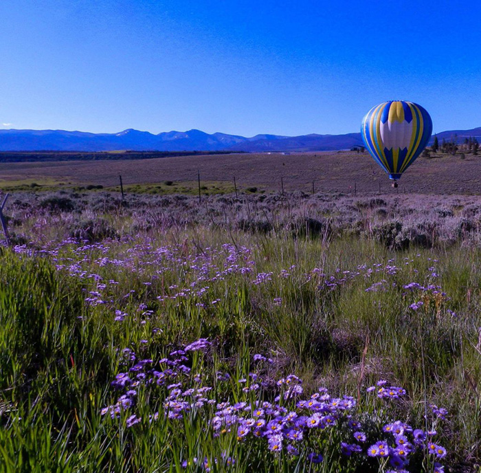 Balloon Rides over Colorado Wildflowers